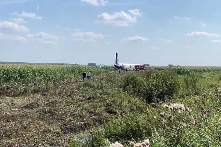 Пилот рассказал, почему не выпустил шасси при посадке а321 в кукурузном поле // нтв.ru