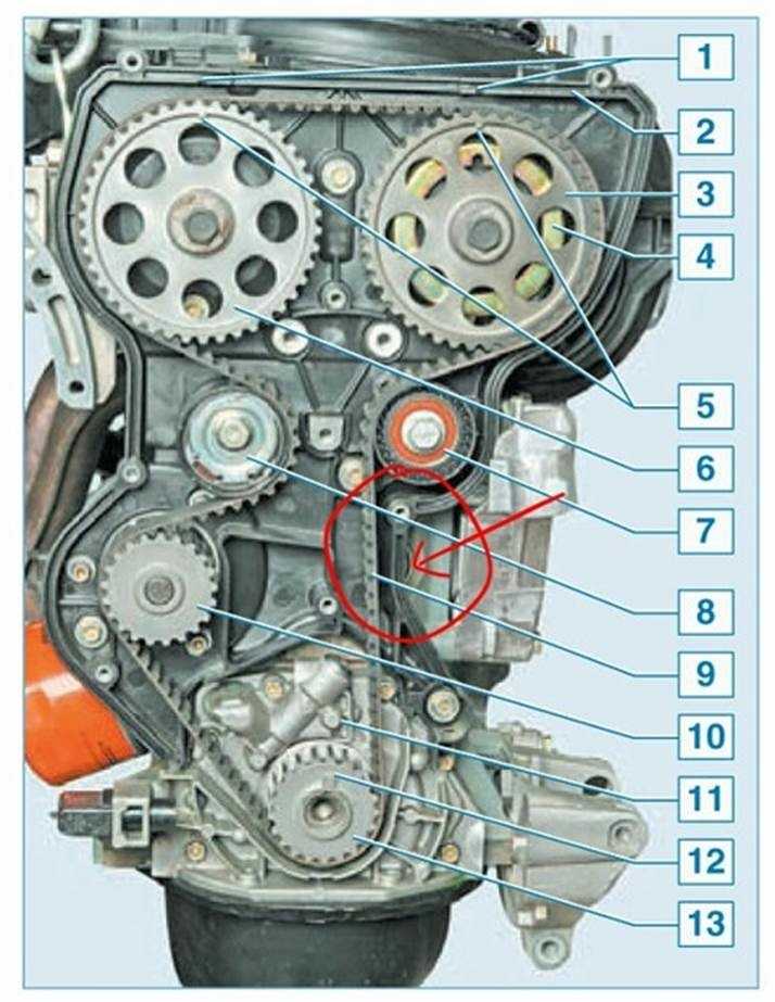 Замена ремня грм на автомобилях lada с двигателем 8 клапанов