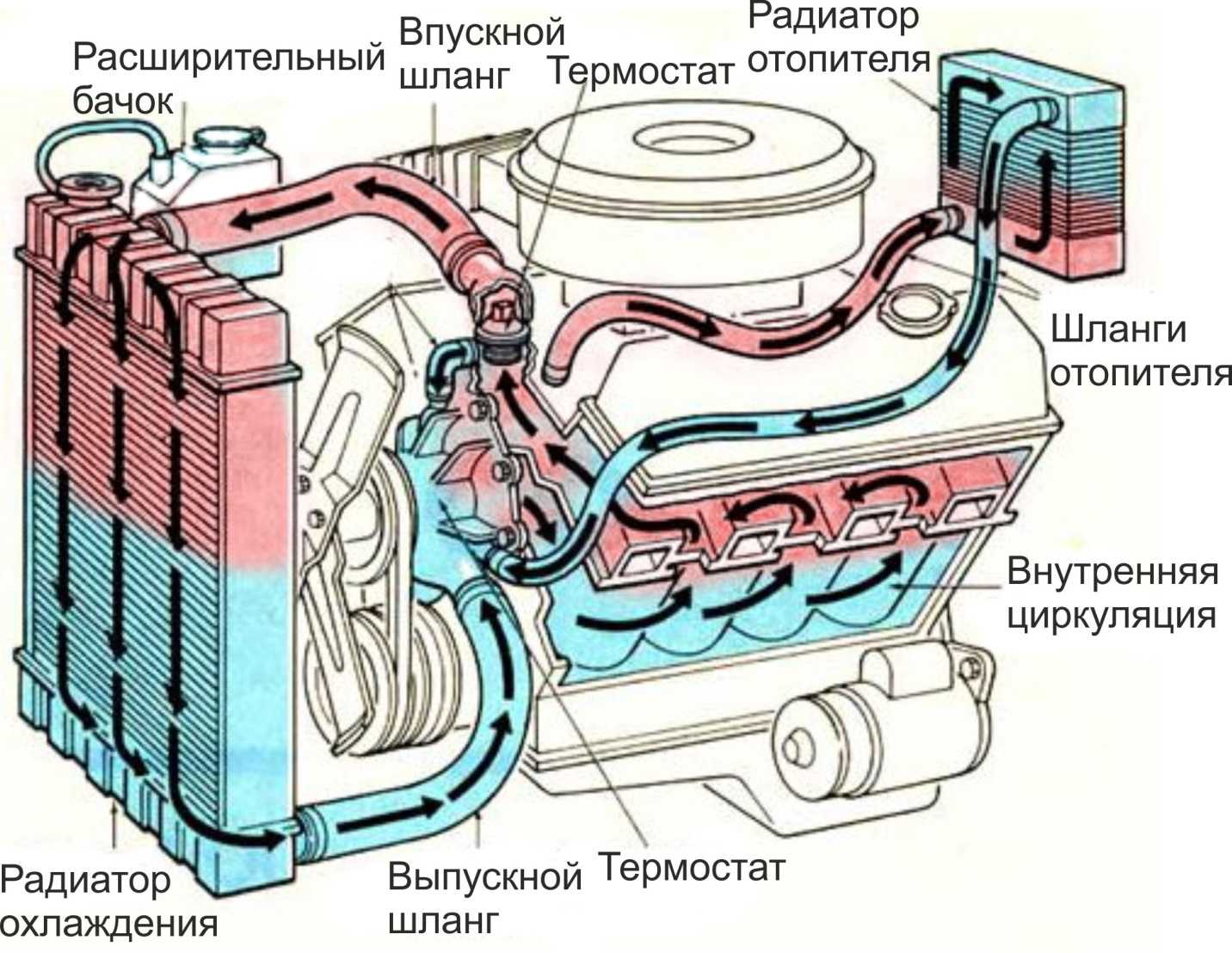Как циркулирует жидкость в системе охлаждения двигателя?