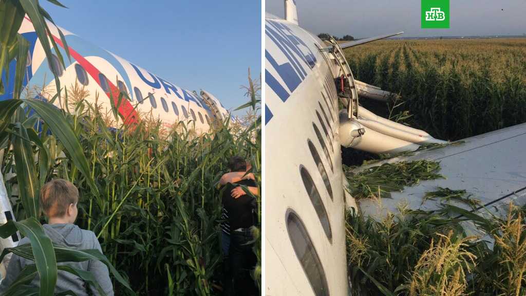 Пилот рассказал, почему не выпустил шасси при посадке а321 в кукурузном поле