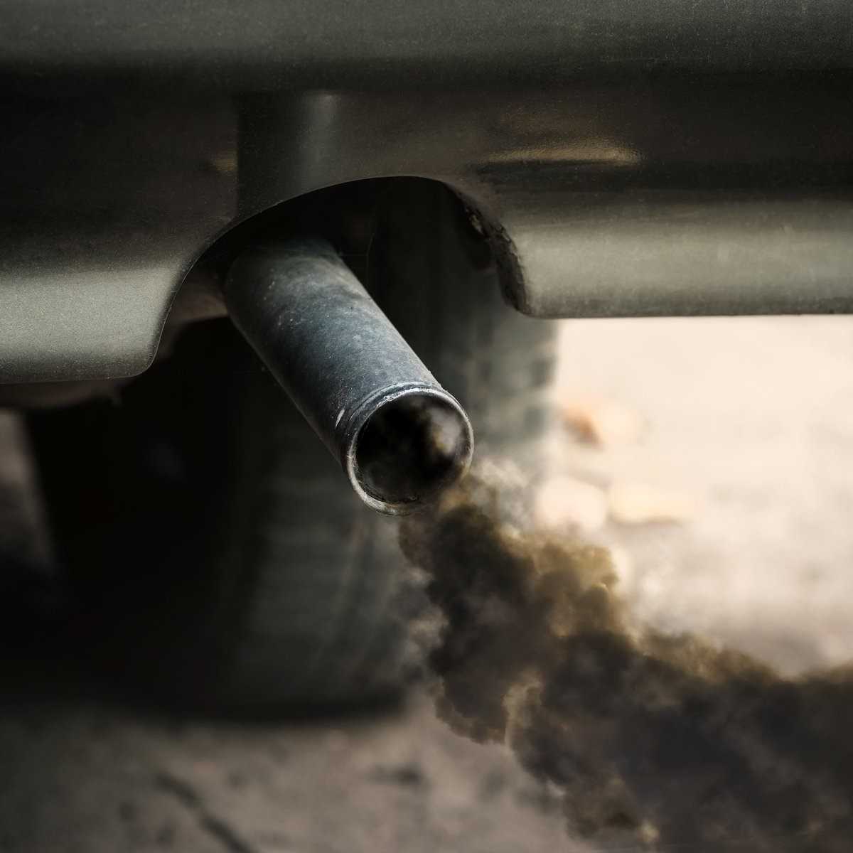 Почему в салоне, из выхлопной трубы при запуске двигателя автомобиля пахнет бензином: причины. в салоне автомобиля пахнет бензином: что делать, как избавиться от запаха?