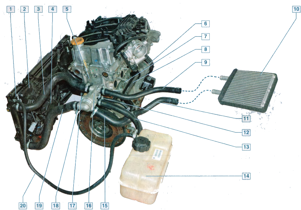 Система охлаждения приора: устройство, возможные проблемы, почему греется двигатель, к чему может привести перегрев, замена охлаждающей жидкости в системе моделей с 8 и 16 клапанами