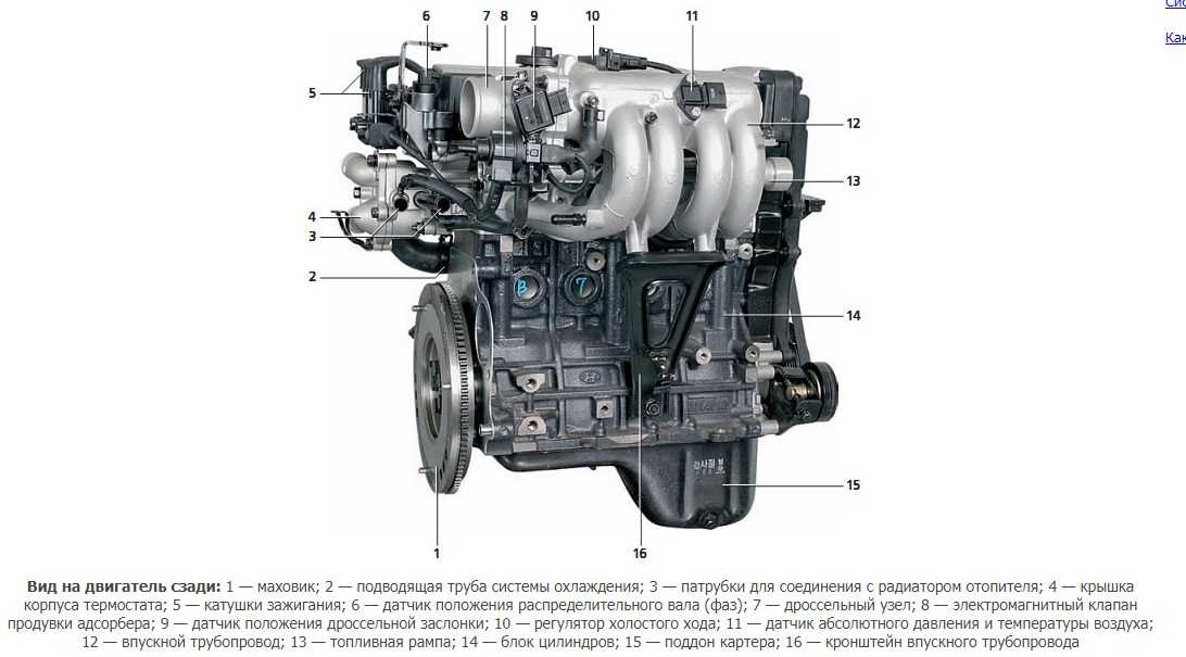 Датчики двс. Двигатель g4ed-g 1.6. ДВС g4gc схема двигателя. Мотор Хендай акцент 1.5 102 л.с схема. Схема двигателя Солярис 1.6.